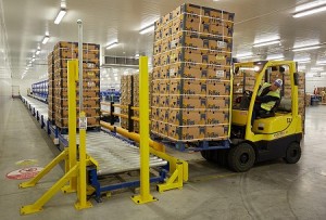 ergstorageconveyorsforpallets2