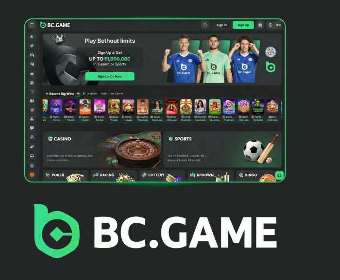 Complete Guide to BC.Game Registration -331701401
